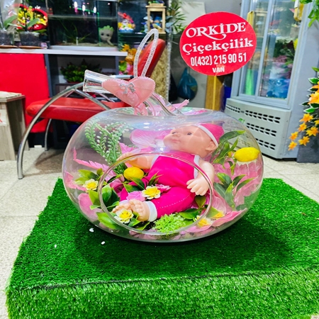 Yeni doğan bebek teraryum orkide